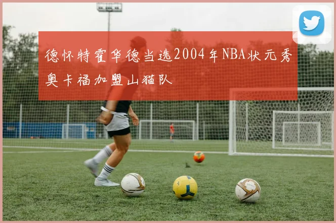 德怀特霍华德当选2004年NBA状元秀奥卡福加盟山猫队