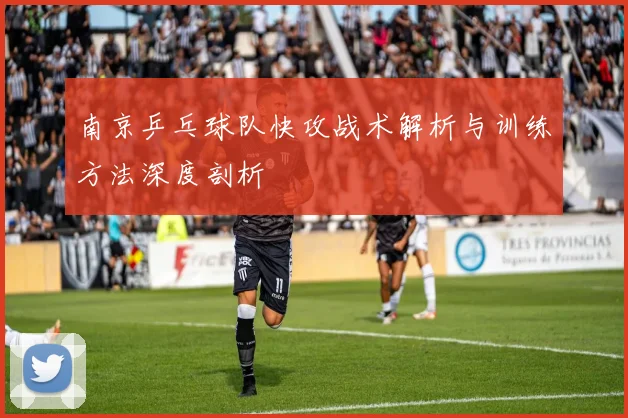 南京乒乓球队快攻战术解析与训练方法深度剖析