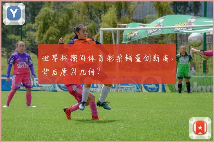 世界杯期间体育彩票销量创新高，背后原因几何？