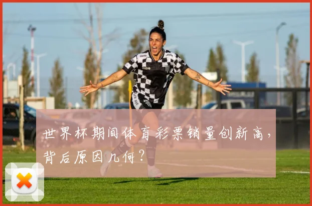 世界杯期间体育彩票销量创新高，背后原因几何？