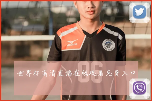 世界杯高清直播在线观看免费入口