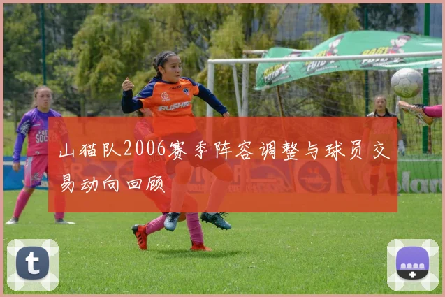 山猫队2006赛季阵容调整与球员交易动向回顾