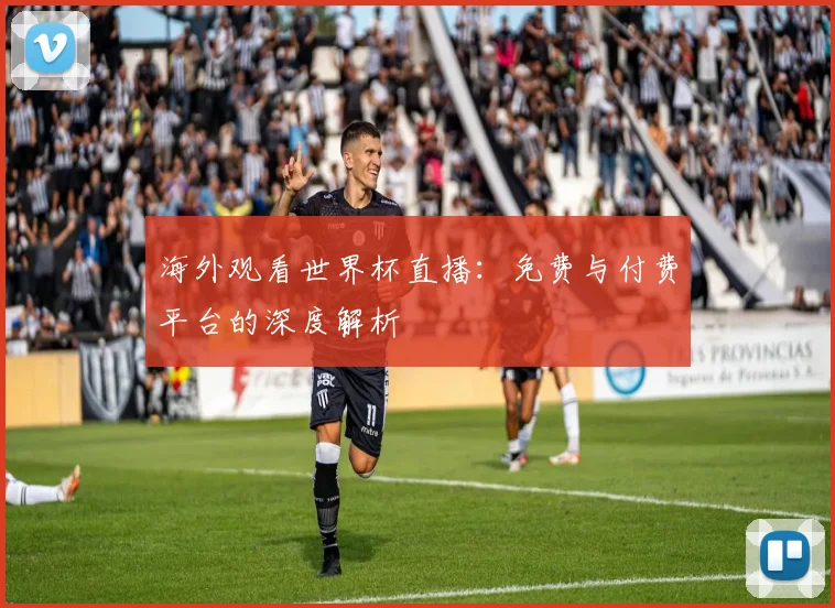 海外观看世界杯直播：免费与付费平台的深度解析
