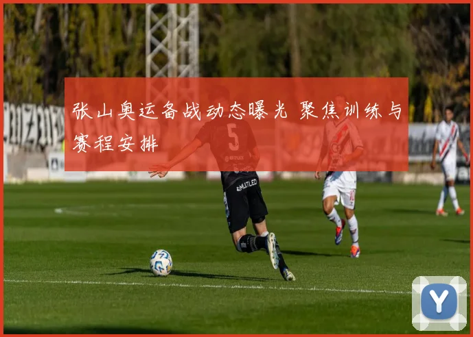 张山奥运备战动态曝光 聚焦训练与赛程安排