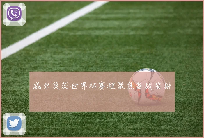 威尔莫茨世界杯赛程聚焦备战安排