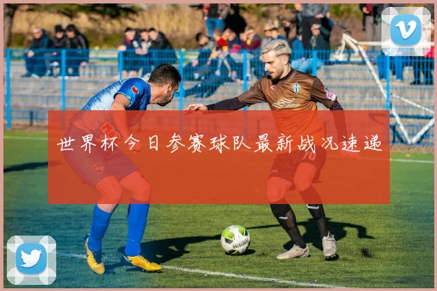 世界杯今日参赛球队最新战况速递