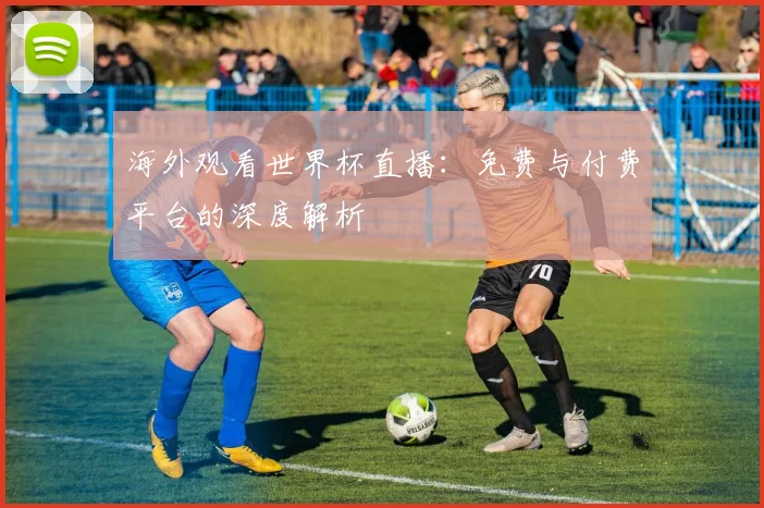 海外观看世界杯直播：免费与付费平台的深度解析