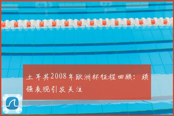 土耳其2008年欧洲杯征程回顾：顽强表现引发关注