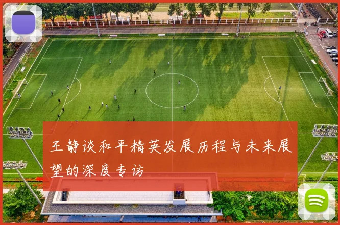 王静谈和平精英发展历程与未来展望的深度专访