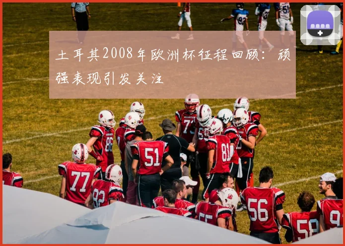 土耳其2008年欧洲杯征程回顾：顽强表现引发关注